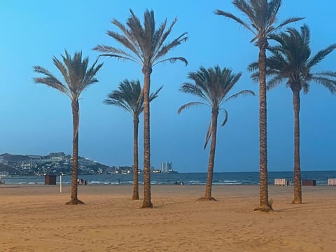 Cataleya Apartment Apartment in Cullera