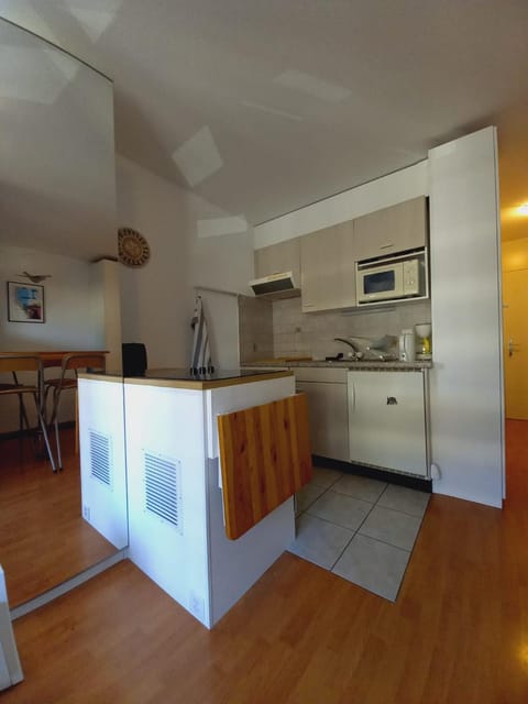 Charmant 1.5 pièce à la montagne Apartment in Haute-Savoie