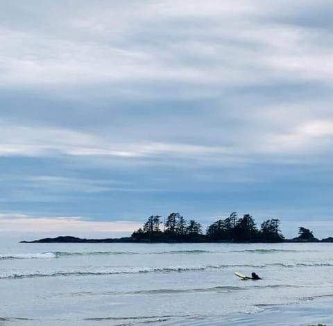 Blue Cedar Suite Apartment in Tofino