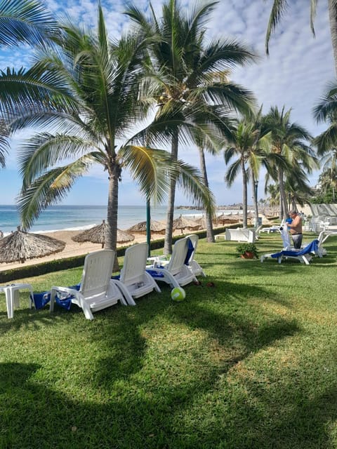 Natural landscape, Beach, Garden view, Sea view, sunbed