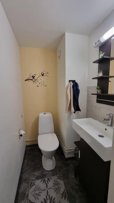 Viihtyisä saunallinen kolmio keskustan läheisyydessä Apartment in Finland