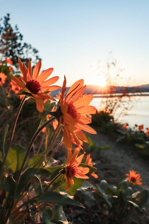 Spring, Natural landscape, Lake view