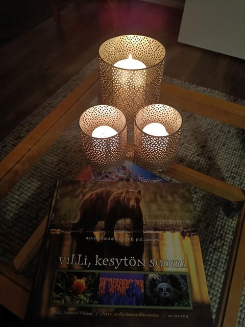 Revontuli 1 Apartment in Lapland