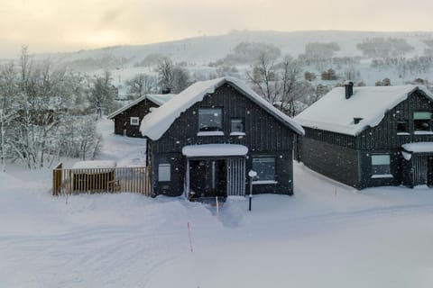 Facade/entrance, Winter, Mountain view