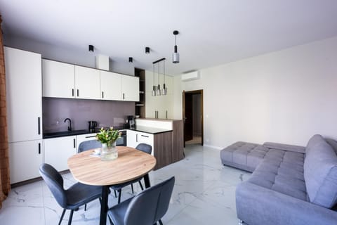 Kitchen or kitchenette, Living room, Seating area, stove