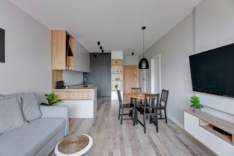 Communal lounge/ TV room, TV and multimedia, Kitchen or kitchenette, Living room, Seating area, Dining area, oven, stove