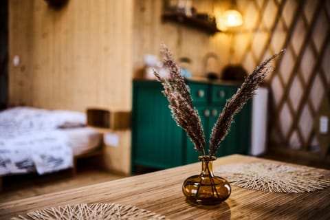 Photo of the whole room, Decorative detail, kitchen