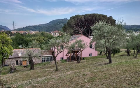 Property building, Natural landscape