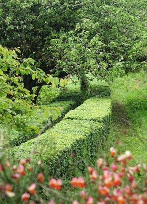 Stylish Scottish Manor, Coillemore House House in Scotland