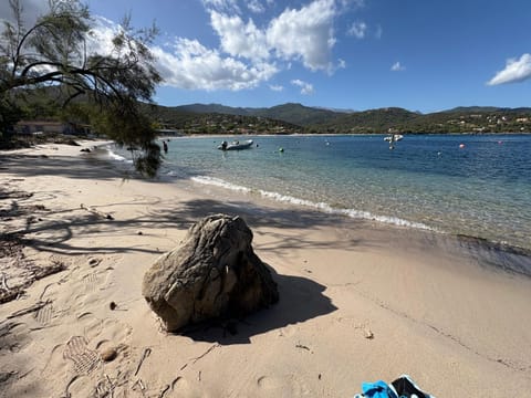 Nearby landmark, Day, Natural landscape, Beach