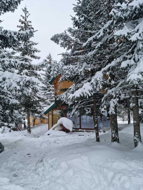 Natural landscape, Winter