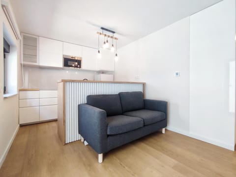 Living room, kitchen