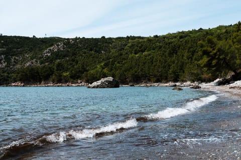 Nearby landmark, Beach