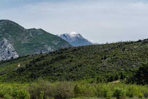 Nearby landmark, Mountain view