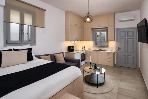 Bed, TV and multimedia, Kitchen or kitchenette, Living room, Seating area, Bedroom, stove