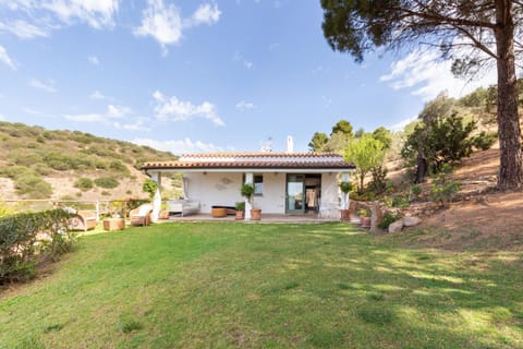 Property building, Garden view
