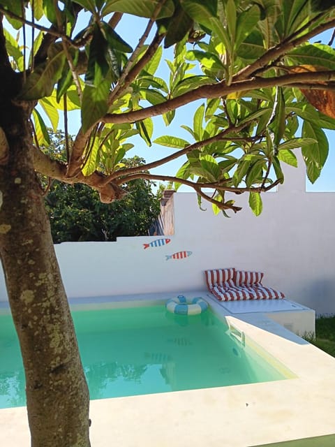 Garden, Swimming pool
