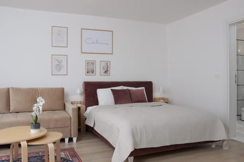 Bed, Living room, Photo of the whole room, Seating area, Bedroom