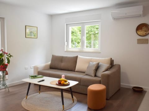 Living room, Seating area, air conditioner