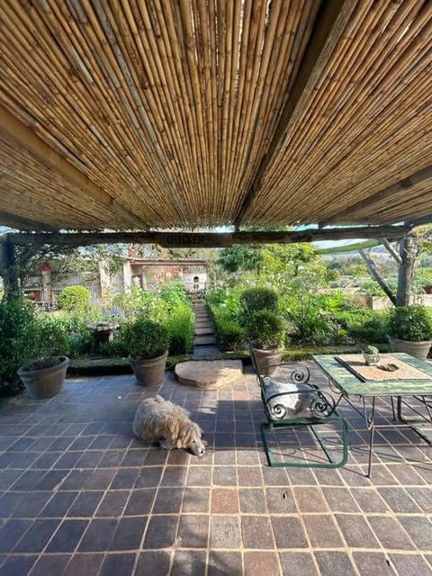 Patio, Garden, Garden view