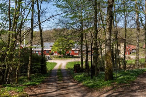 Natural landscape