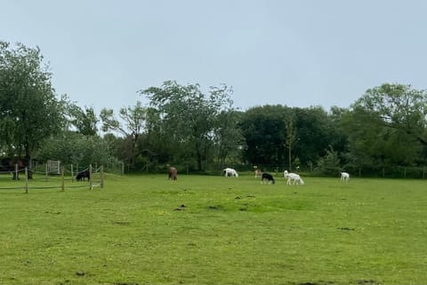Pen llyn holiday cottages and caravan House in Rhosyr