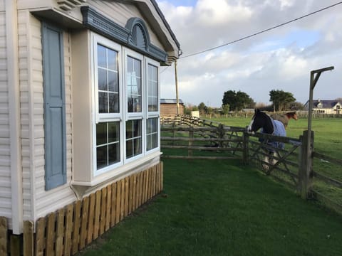 Pen llyn holiday cottages and caravan House in Rhosyr