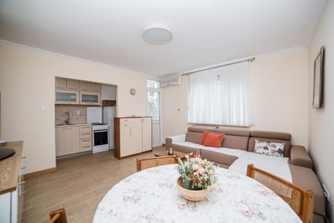 Kitchen or kitchenette, Living room, Seating area, Dining area, oven, stove, air conditioner