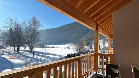 Duplex 140m2 Villard-de-Lans Apartment in Lans-en-Vercors