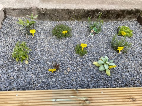 My Little house House in Trois-Ponts