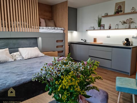 Bed, Kitchen or kitchenette, Photo of the whole room, Bedroom