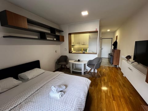 Studio Bulevar Apartment in Sarajevo
