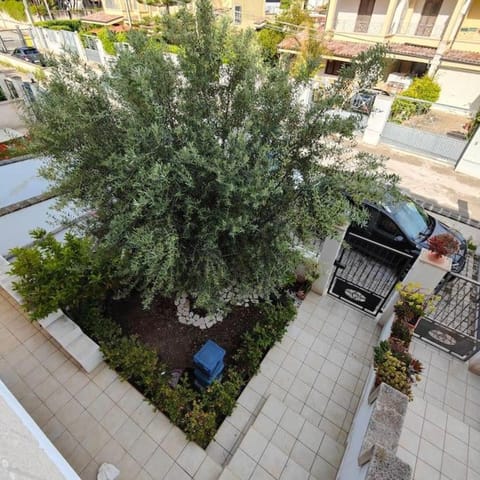 Patio, Garden, Garden, Garden view