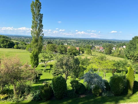 Natural landscape, Garden