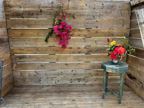 La vie en rose Vacation rental in Coti-Chiavari