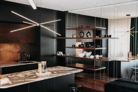 Kitchen or kitchenette, kitchen