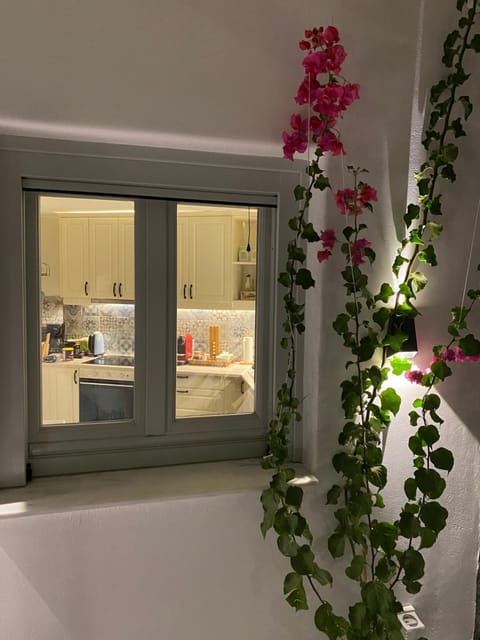 Euphemus Cave House Apartment in Mesaria