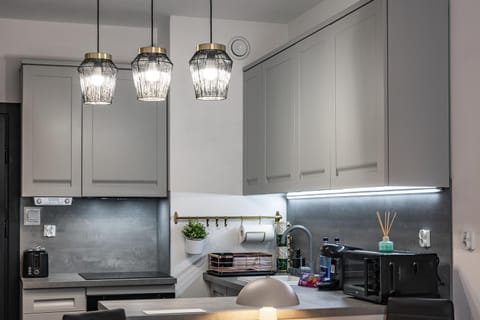 Elbląg Stare Miasto Bulvar, Old Town, Snake Apartment in Pomeranian Voivodeship