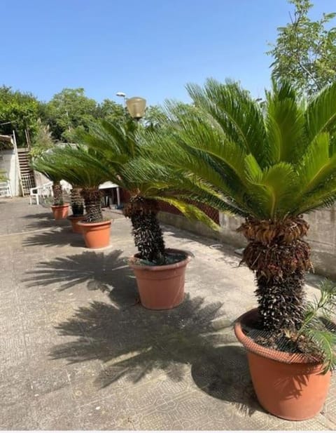 La dimora sul mare Apartment in Castellammare di Stabia