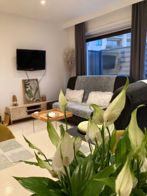 DUNAS, appartement, garage, 200m van strand en centrum Apartment in Koksijde