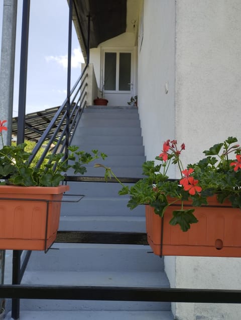 Banja Vrujci Apartmani Nikolic Apartment in Serbia