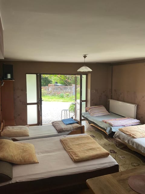 Bed, Garden, Photo of the whole room, Bedroom