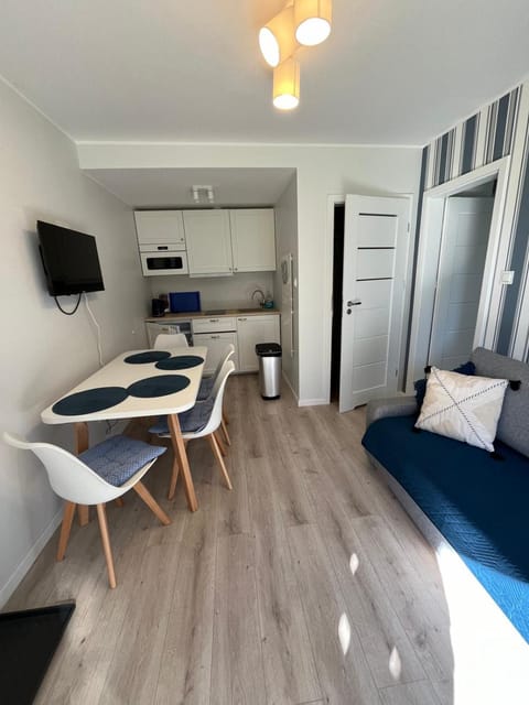 Bed, TV and multimedia, Kitchen or kitchenette, Living room, Photo of the whole room, Seating area, Dining area, oven, stove