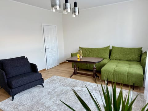 Central Family Apt 70 m2 with free Parking & Private Entrance Apartment in Lithuania