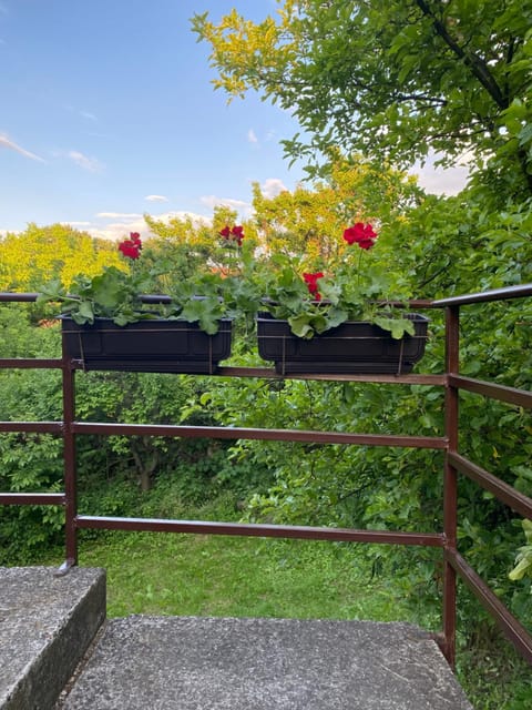 Apartman Jelena Sumarice Apartment in Serbia