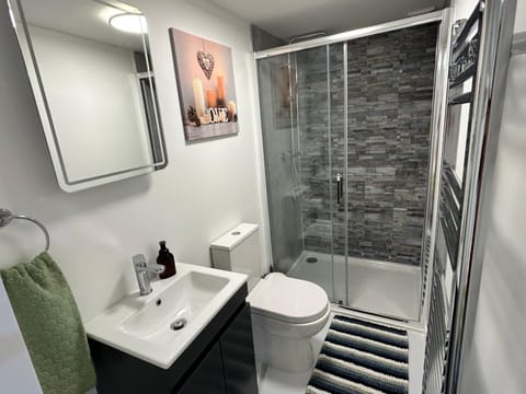 Shower, Toilet, Bathroom, towels