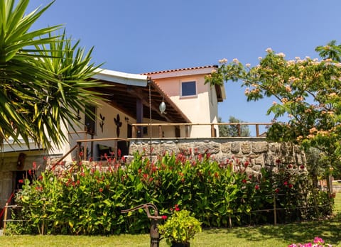 Property building, Garden, Garden view