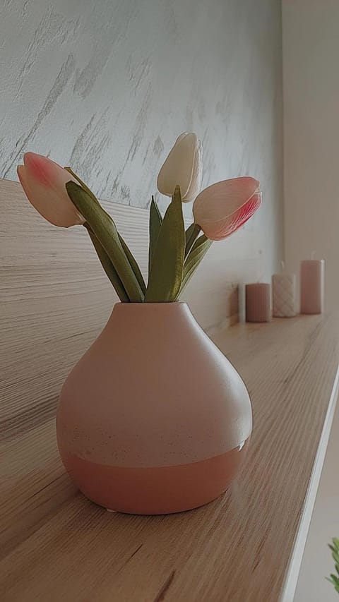 SUNRAY Apartman Požarevac Apartment in Serbia