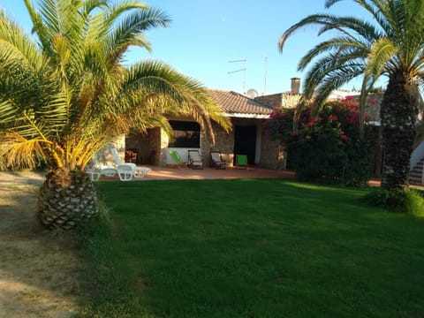 Property building, Garden view