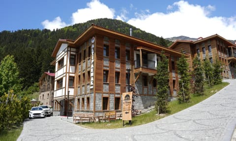 Property building, Spring, Day, Natural landscape, Mountain view, Street view, Parking